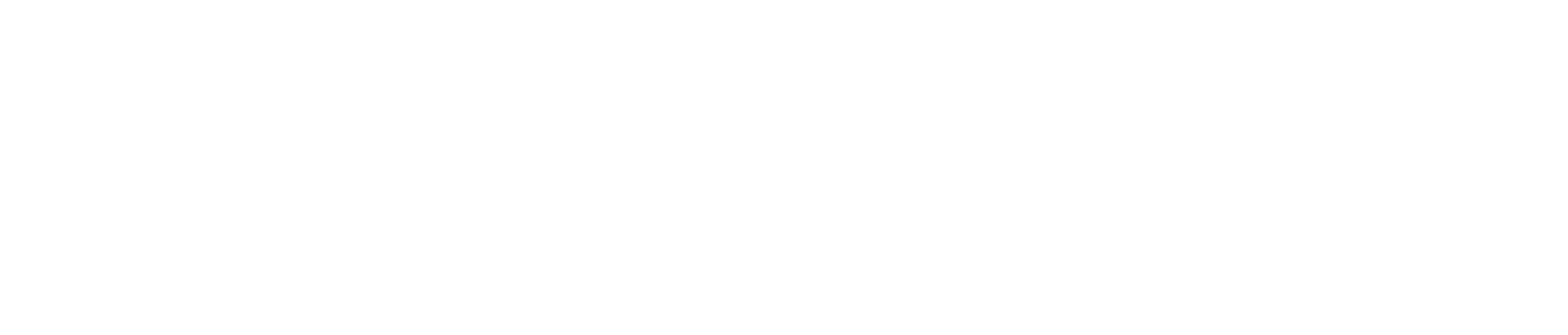 Logo Walmeet.eu white
